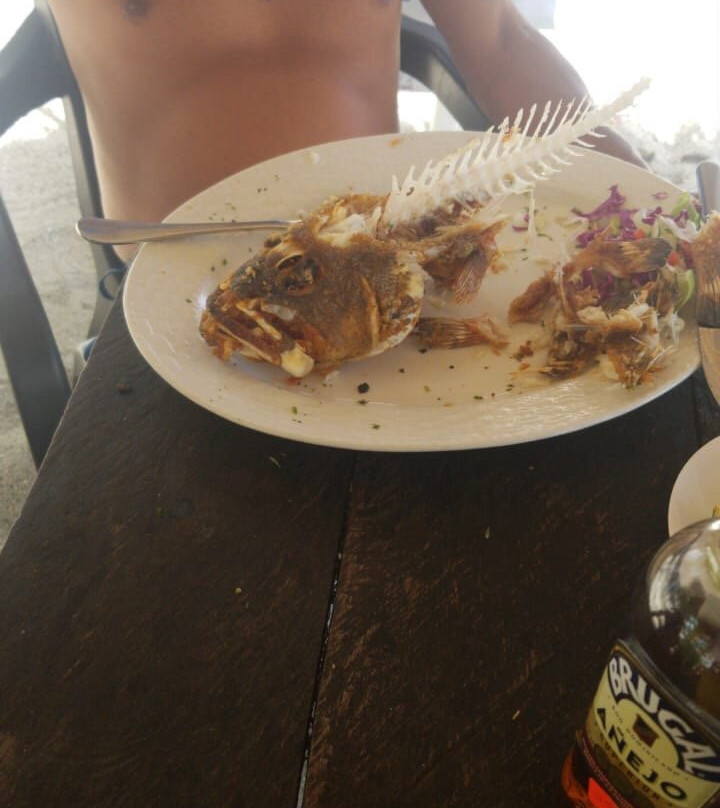 Playa Rogelio-Gaspar Hernandez必去景点