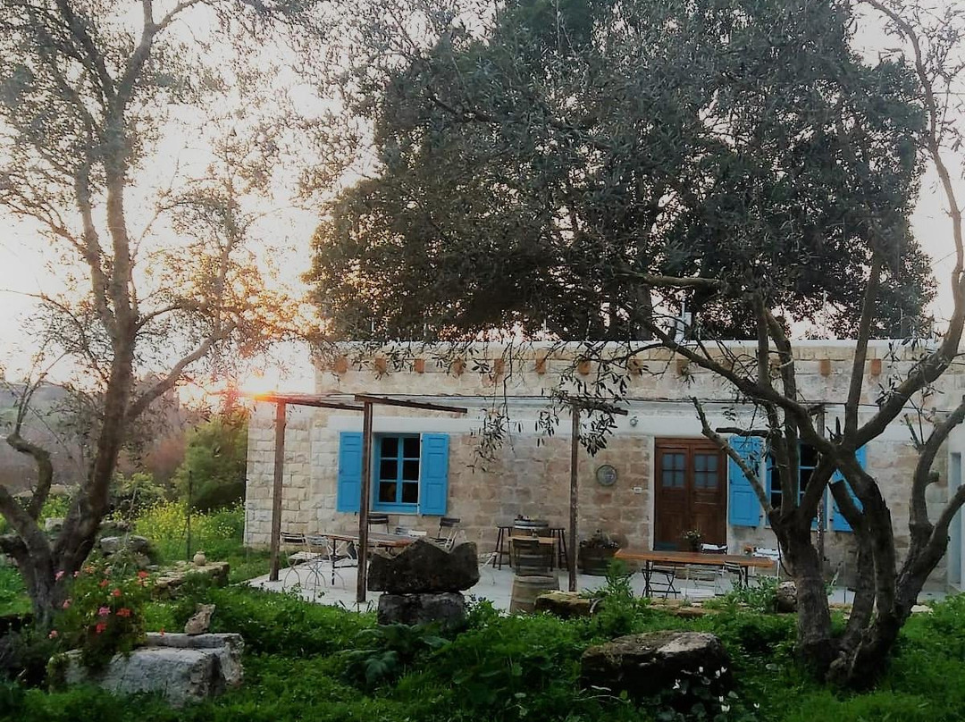 Zippori Winery יקב ציפורי