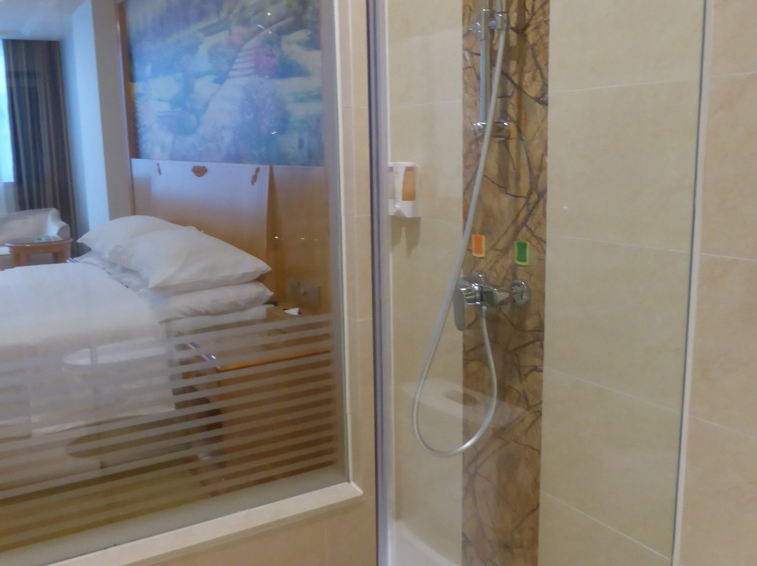 維也納酒店 肇慶四会中心店主图