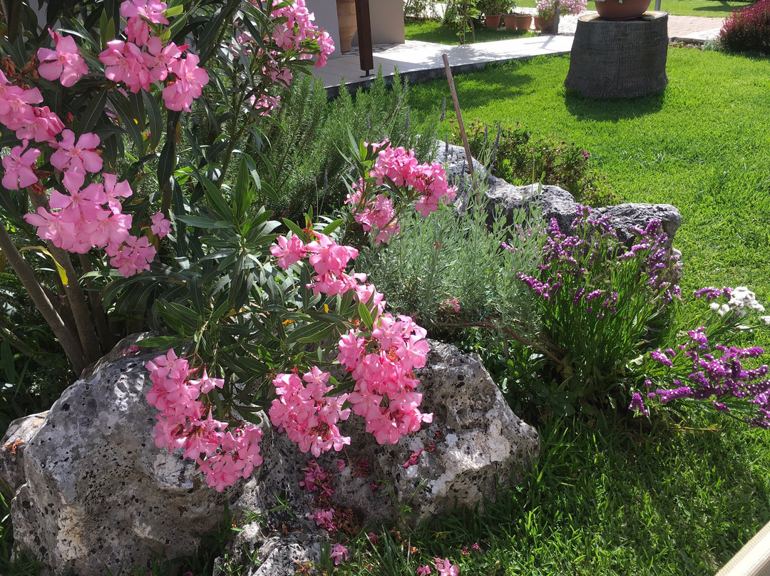 Villa Verde Lefkada主图