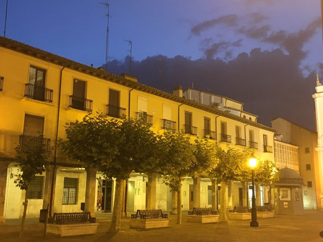 Plaza Mayor de Palencia景点图片