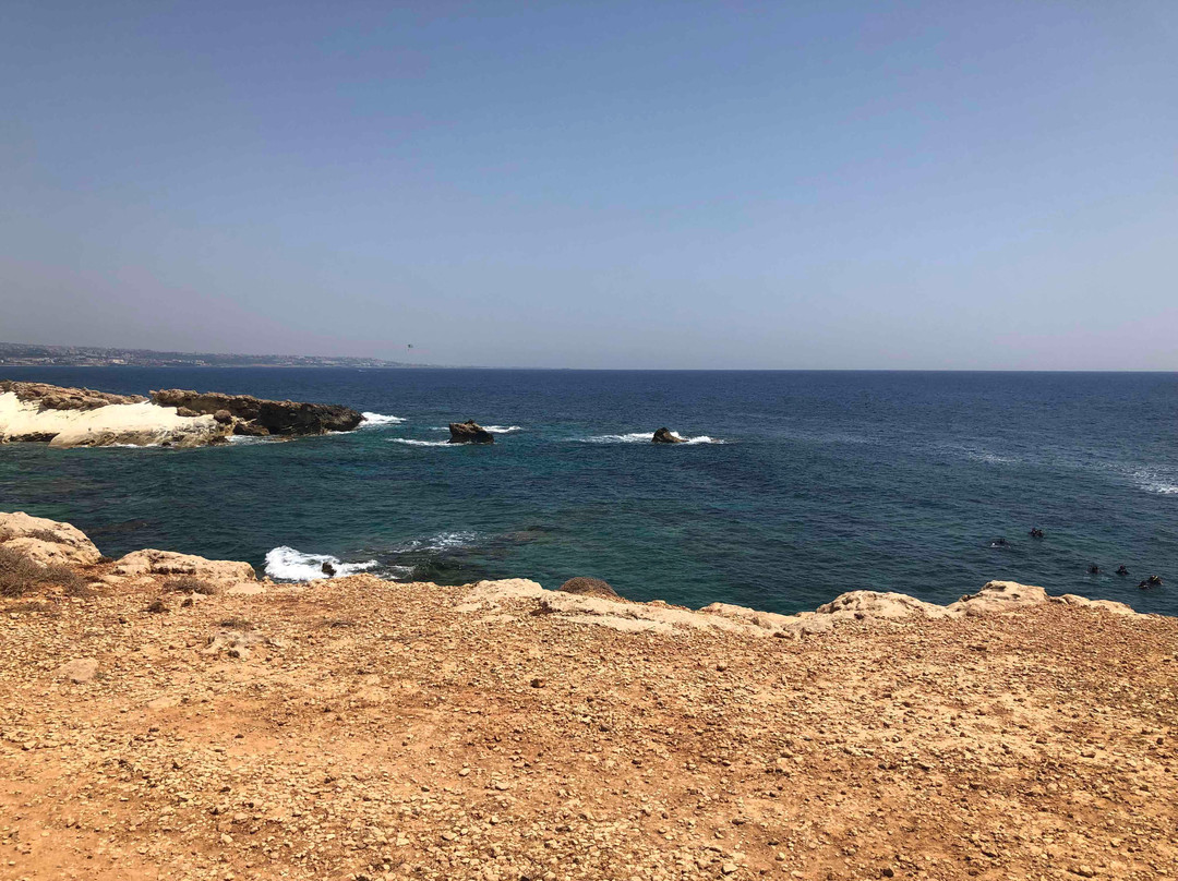 Freedom Divers Cyprus景点图片