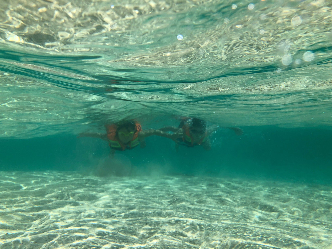 Pulau Pasir景点图片