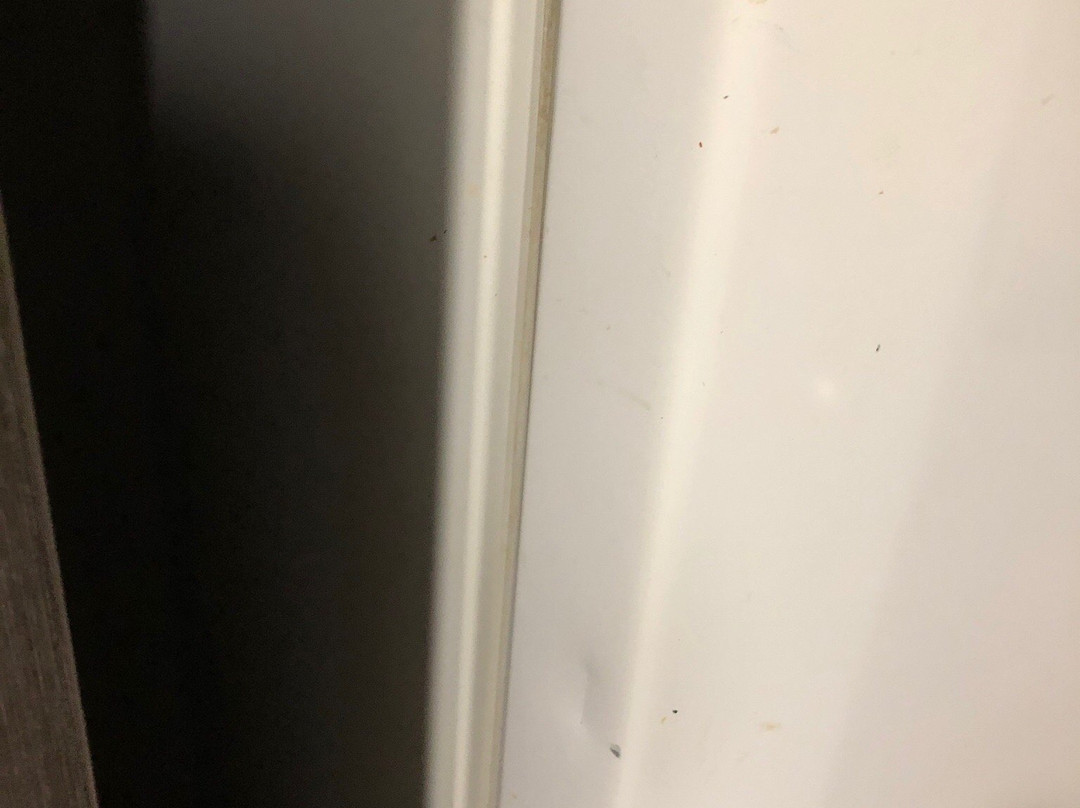 天堂棕榈树度假村主图