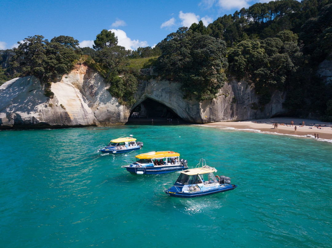 Glass Bottom Boat Whitianga景点图片