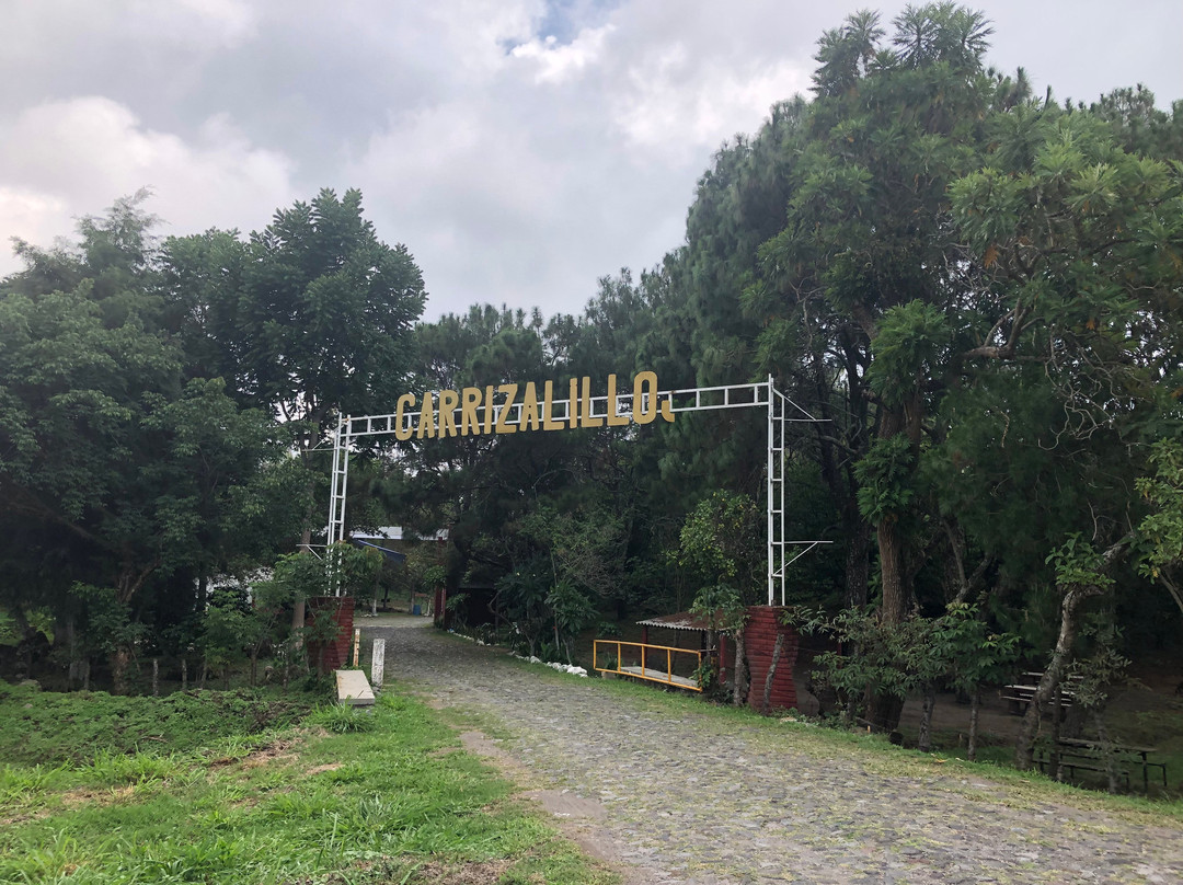 Laguna de Carrizalillos景点图片