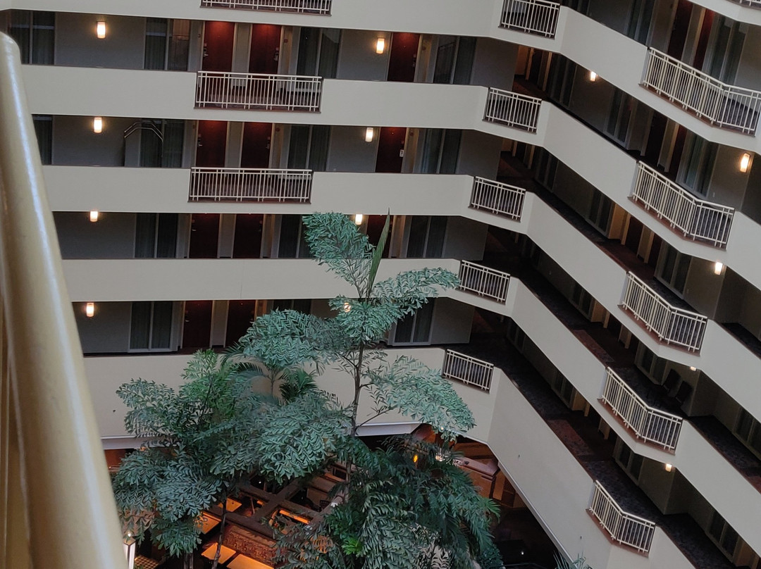 Embassy Suites by Hilton Tampa USF Near Busch Gardens主图