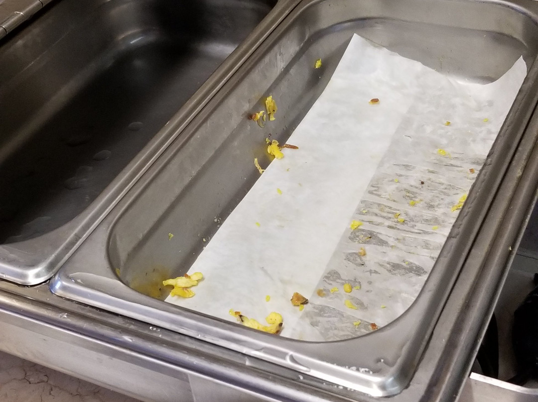 加里波第豪斯旅馆及套房酒店主图