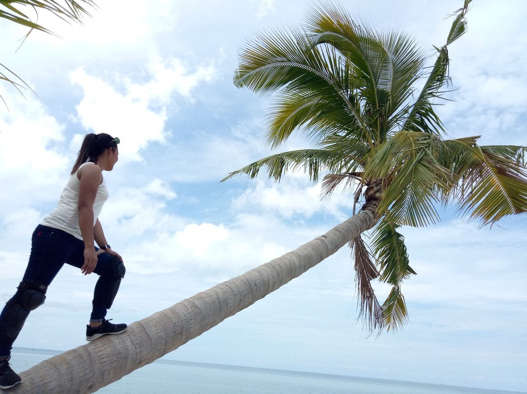 Orongan Beach resort-圣雷米希奥必去景点