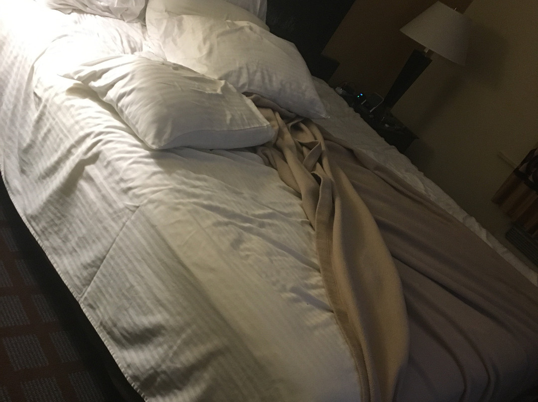 Super 8 by Wyndham Bloomington主图