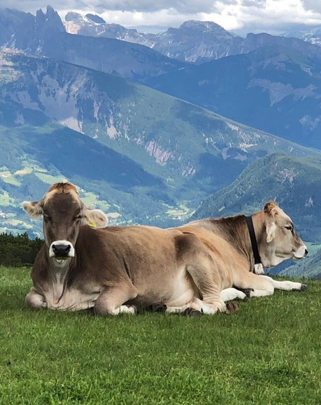 Rittner Horn-Renon必去景点