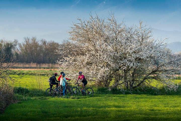 e-bikes Tours - EmpordàLovers景点图片