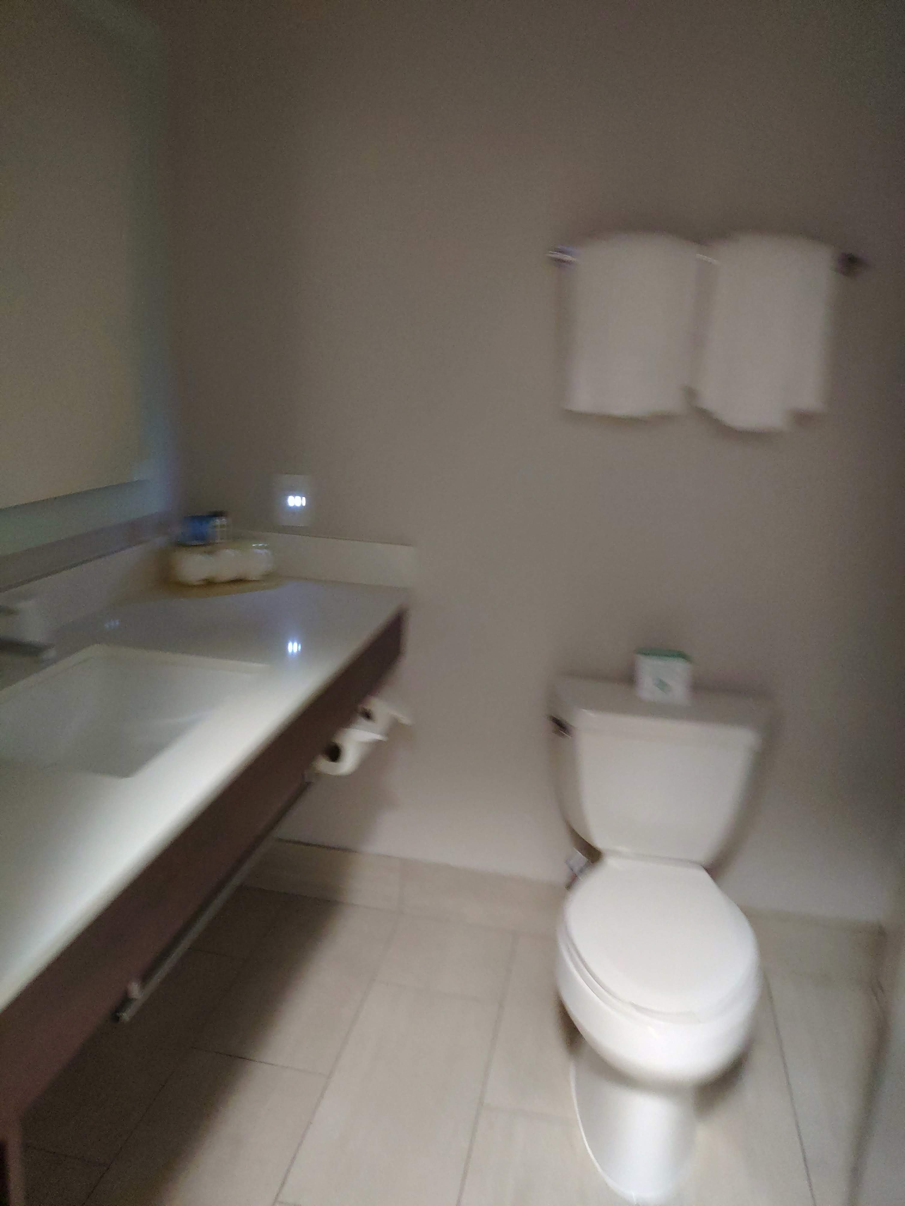 Holiday Inn Express & Suites Rancho Mirage - Palm Springs Area By IHG-浴室
