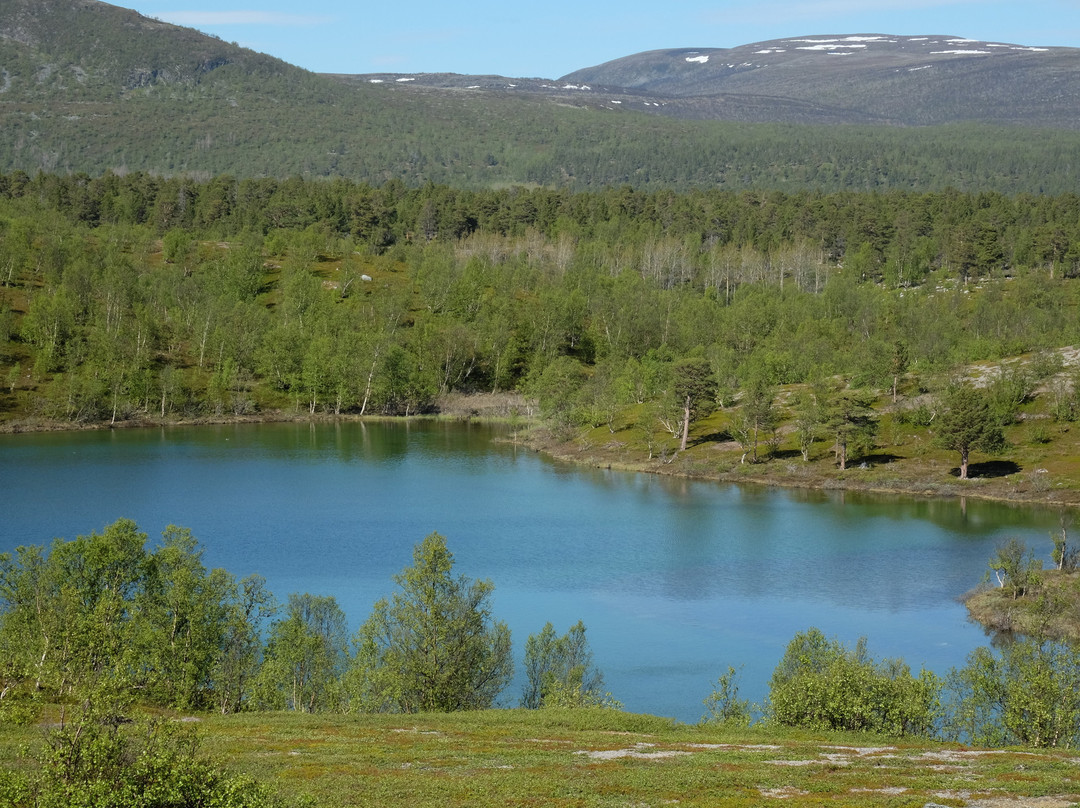 Stabbursdalen nasjonalpark-Lakselv必去景点