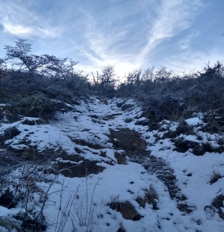 Reserva Nacional Lago Cochrane o Tamango景点图片