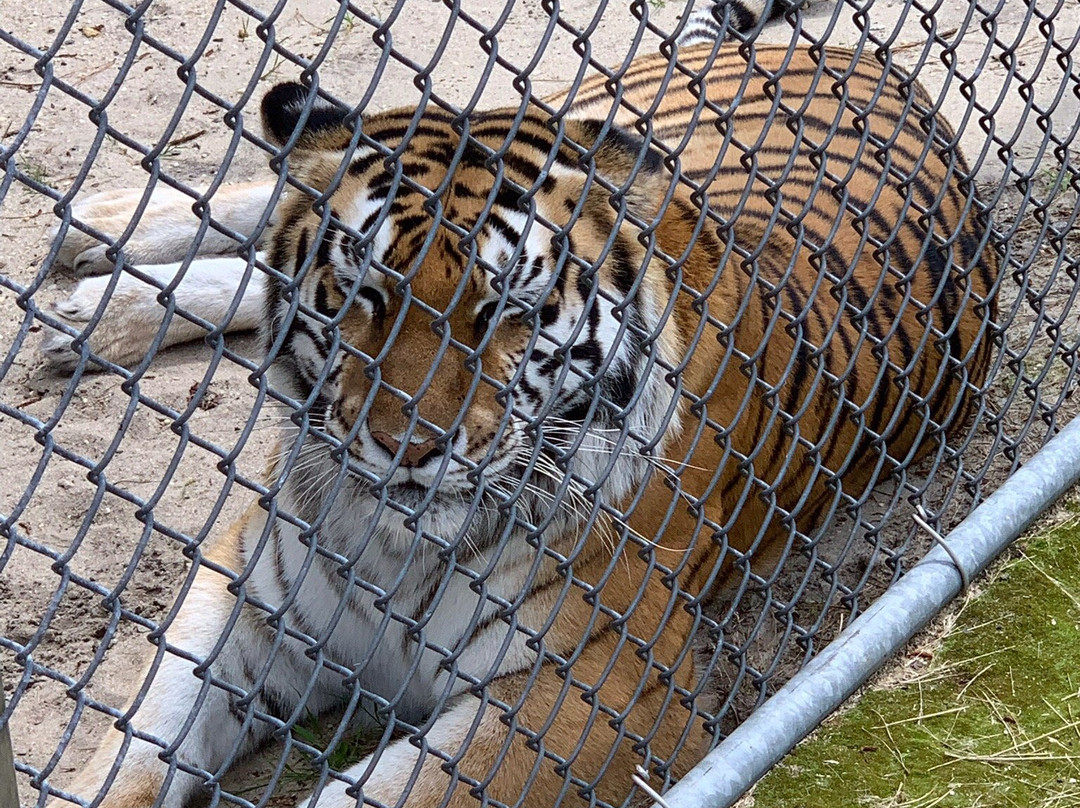 Popcorn Park Animal Refuge景点图片