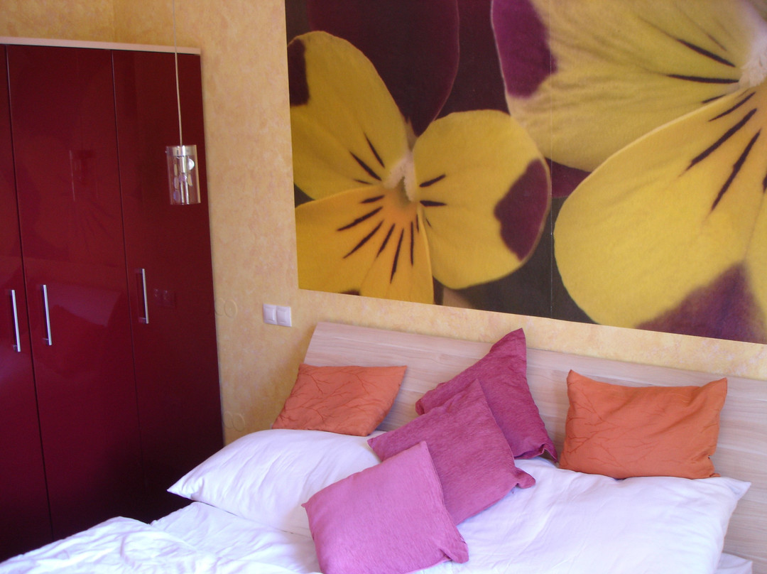 Design Hotel Romantick主图