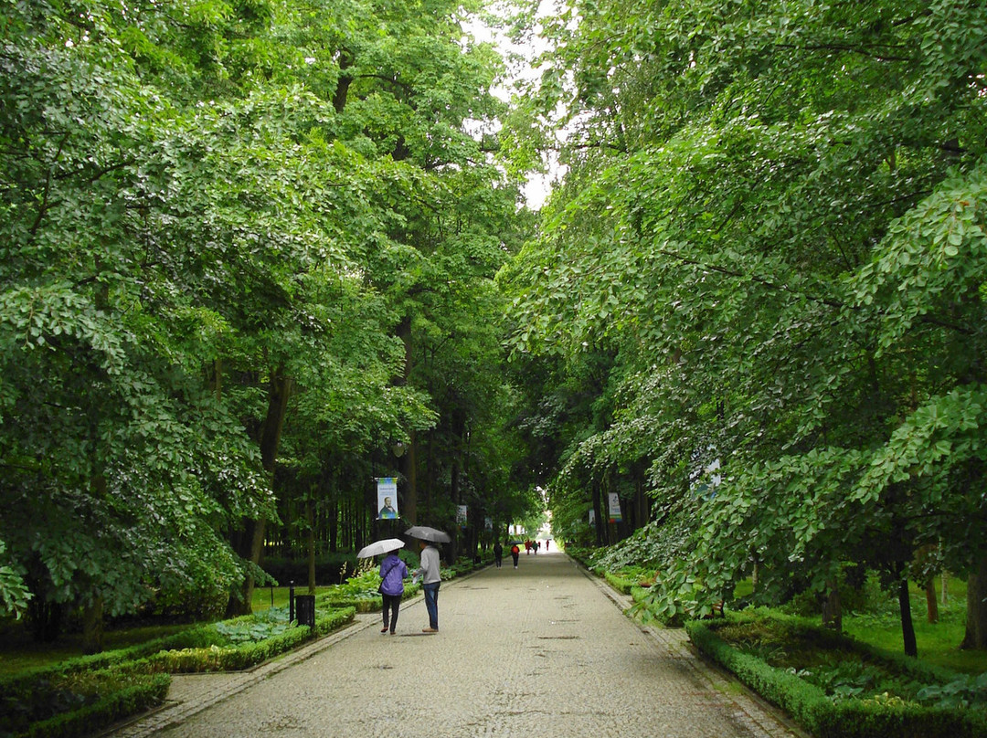 Park Zdrojowy景点图片
