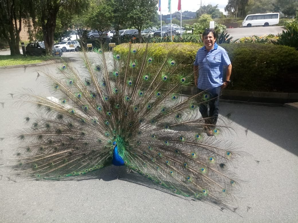 Hotel Movich Las Lomas主图