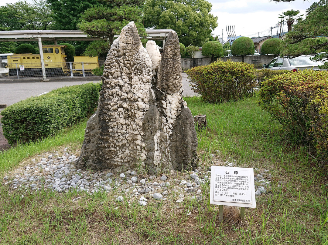Kuzuu Fossil Museum-佐野市必去景点