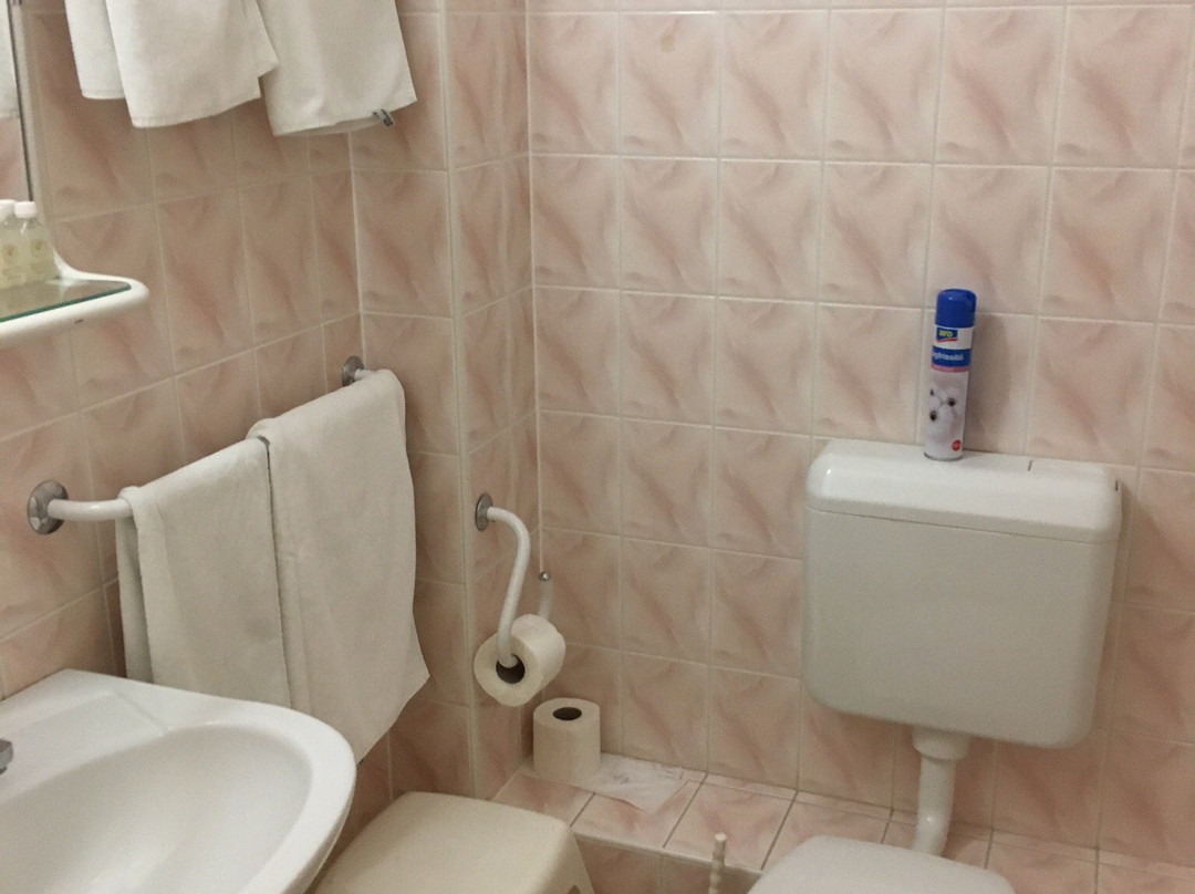 Hotel Pannonia Miskolc主图