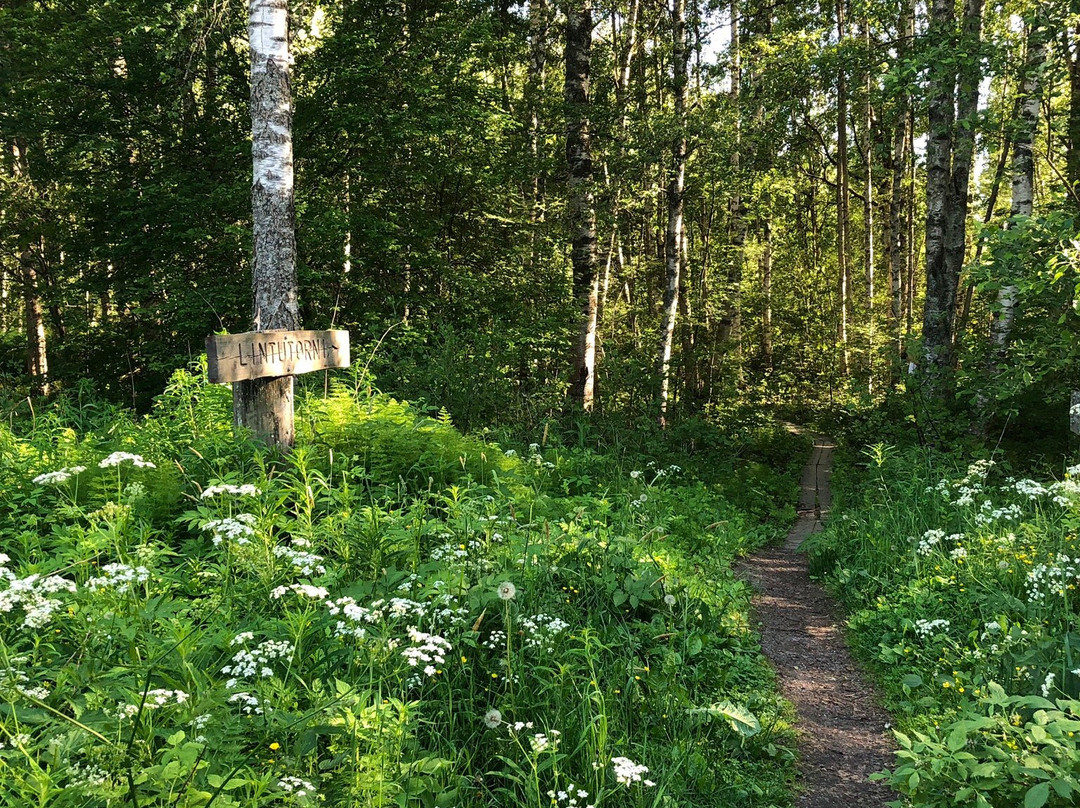Lake Vallonjarvi - Guided nature path景点图片