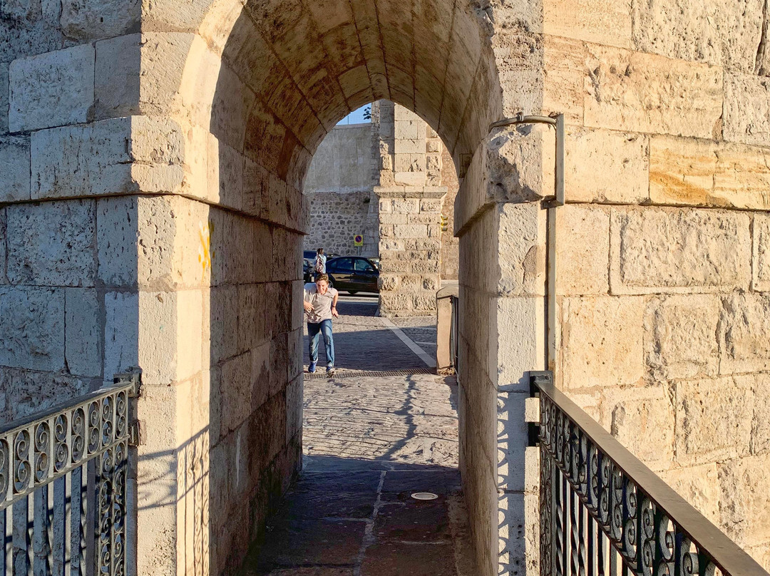Acueducto Viaducto de los Arcos-特鲁埃尔必去景点