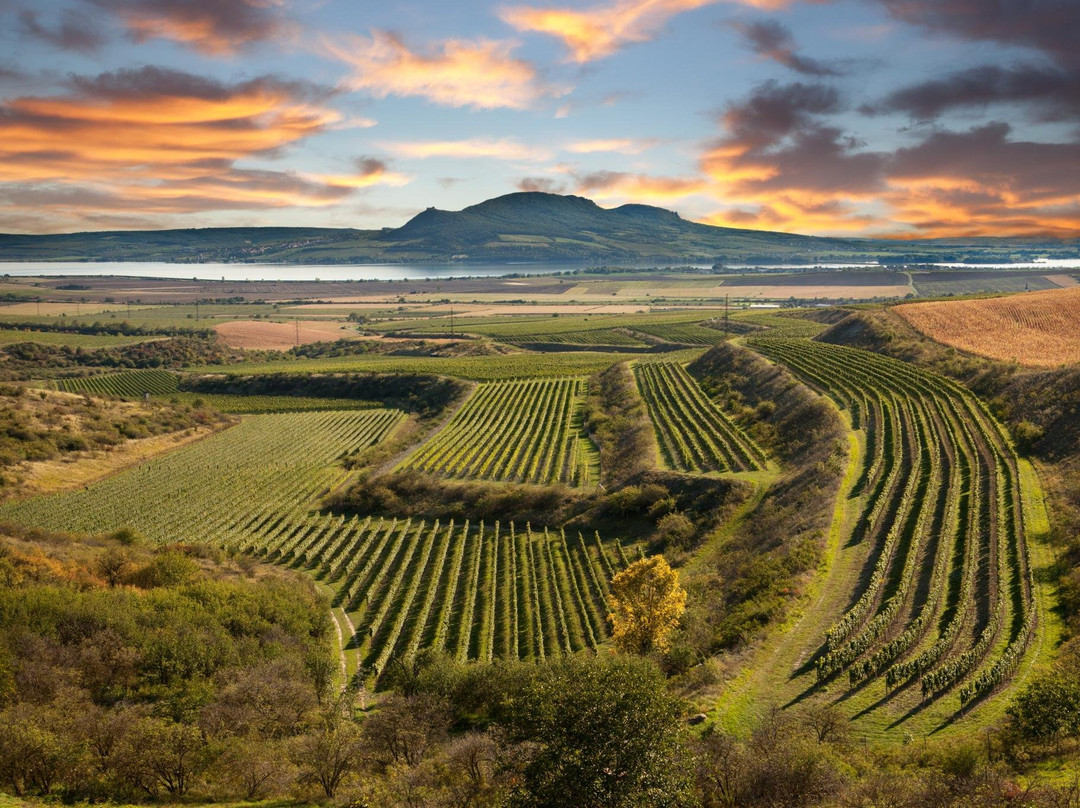 Explore Moravia-莱德尼采必去景点
