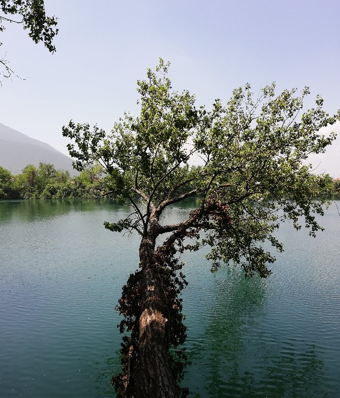 Lago di Telese景点图片