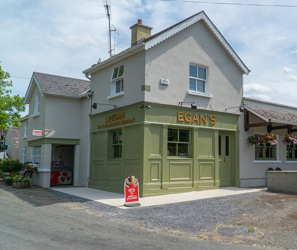 Bunclody餐馆和美食-Egans Bar (food)