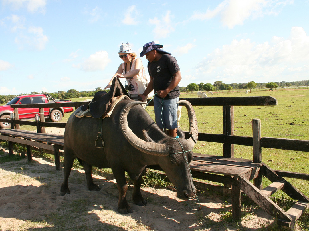 Bom Jesus Farm-Soure必去景点