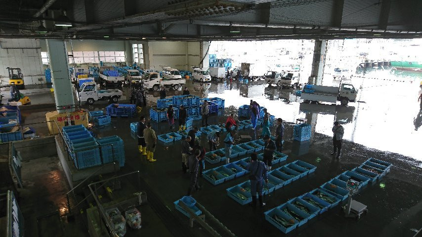 Kesennuma Fish Market-气仙沼市必去景点