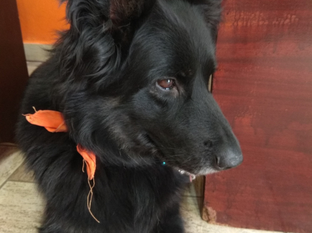 Atma Ethnic-帕罗奇亚必去景点