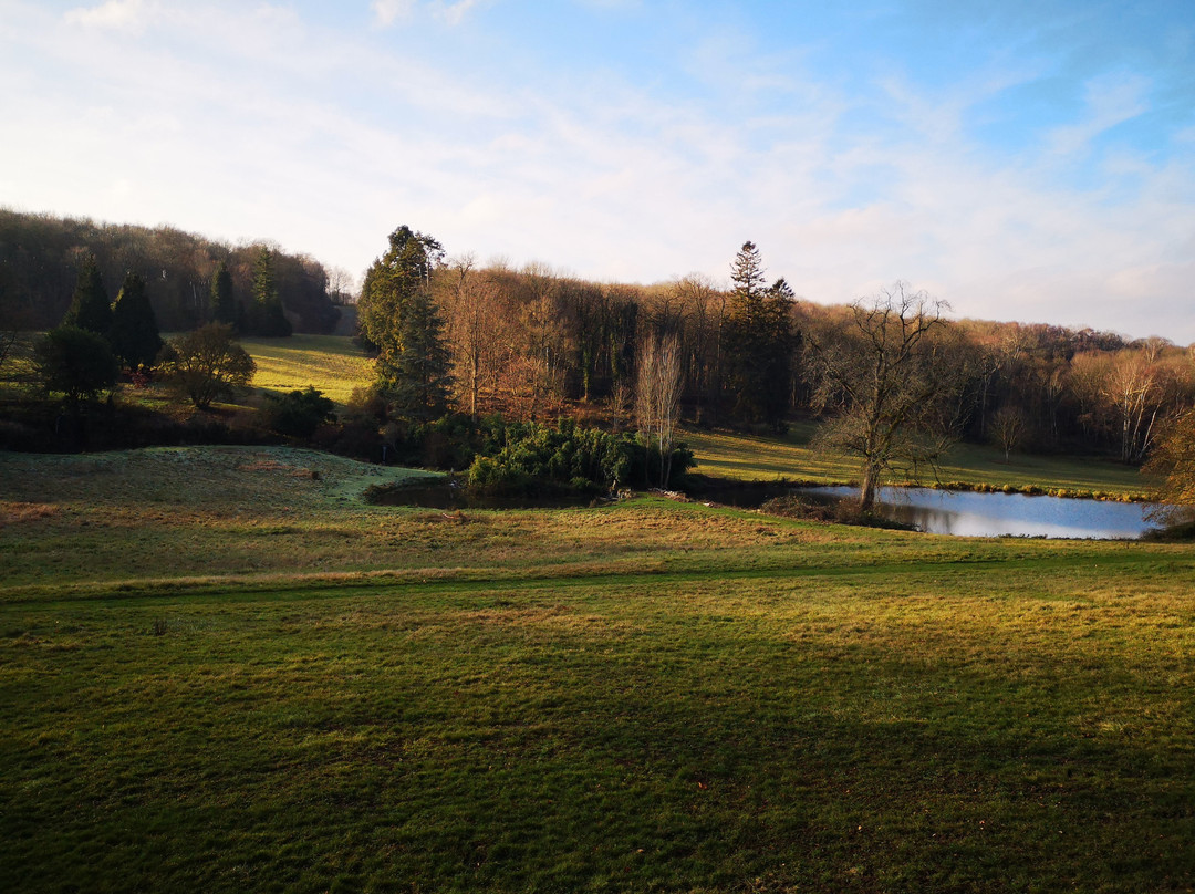 Chateau de la Bucherie主图