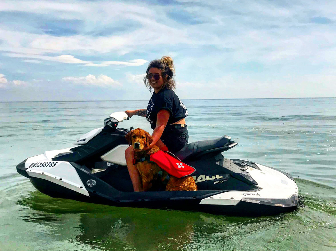 905 Rentals-Wainfleet必去景点