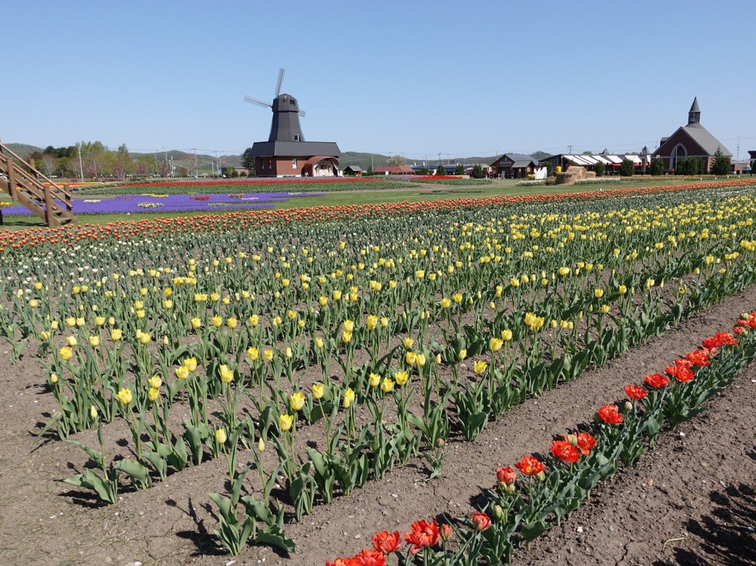 Kamiyubetsu Tulip Park-涌别町必去景点