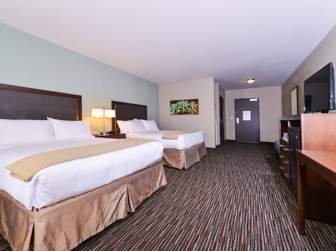Holiday Inn Express & Suites Indio - Coachella Valley By IHG主图