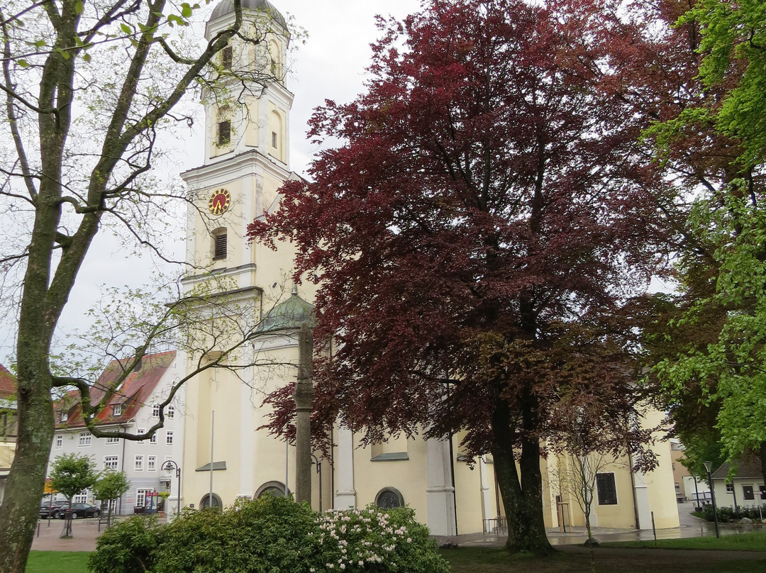 Pfarrkirche St. Martin景点图片