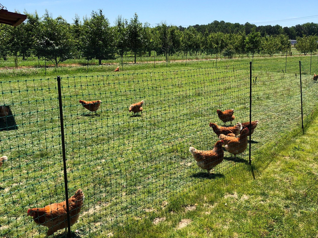 T.S. Smith & Sons-Bridgeville必去景点