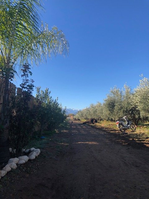 Kasbah Igoudar Boutique hotel & Spa主图