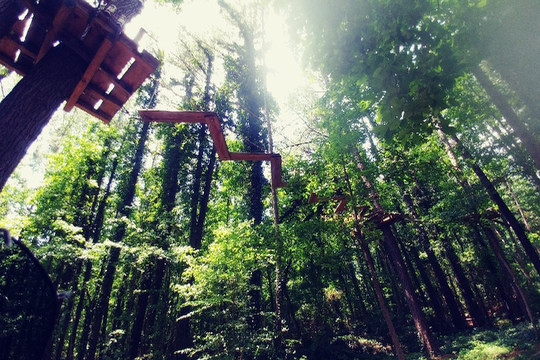 Treetop Quest Dunwoody-Dunwoody必去景点