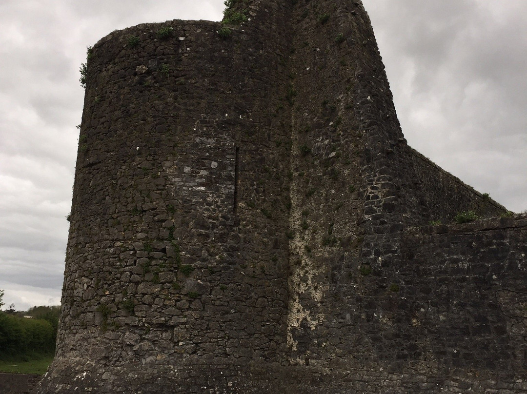 Liscarrol Castle景点图片