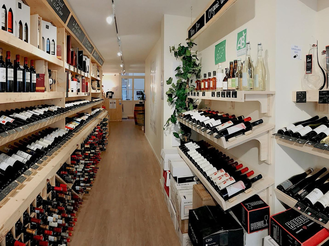 Wine Corner-波尔多必去景点