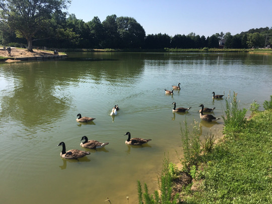 Meridian Park-Loganville必去景点