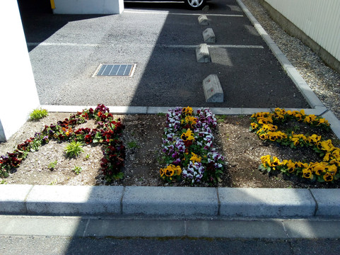 函馆全员入住酒店主图