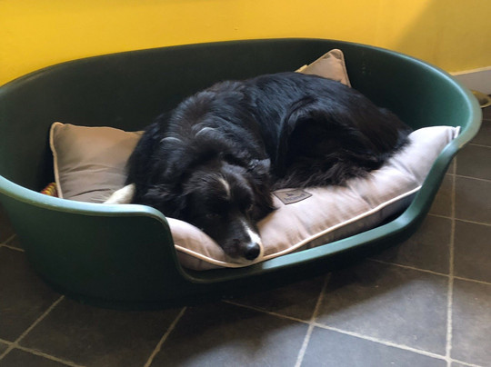 Tom-na-muidh House B&B主图