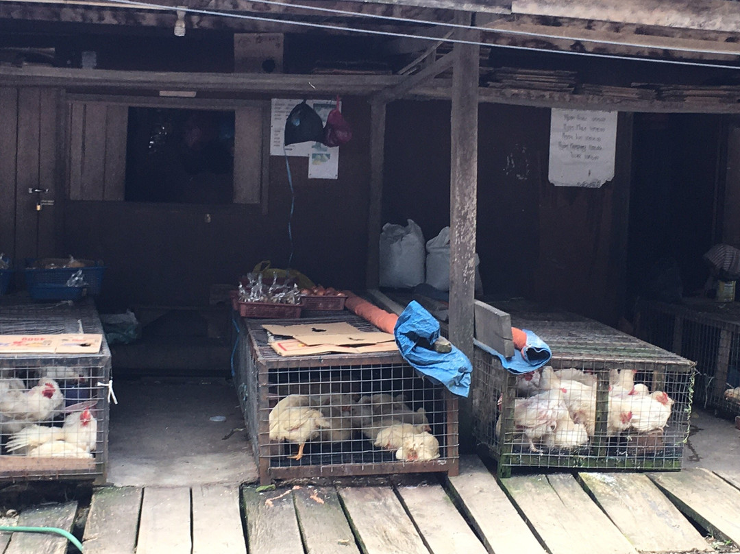 Kundasang Market-昆达山必去景点