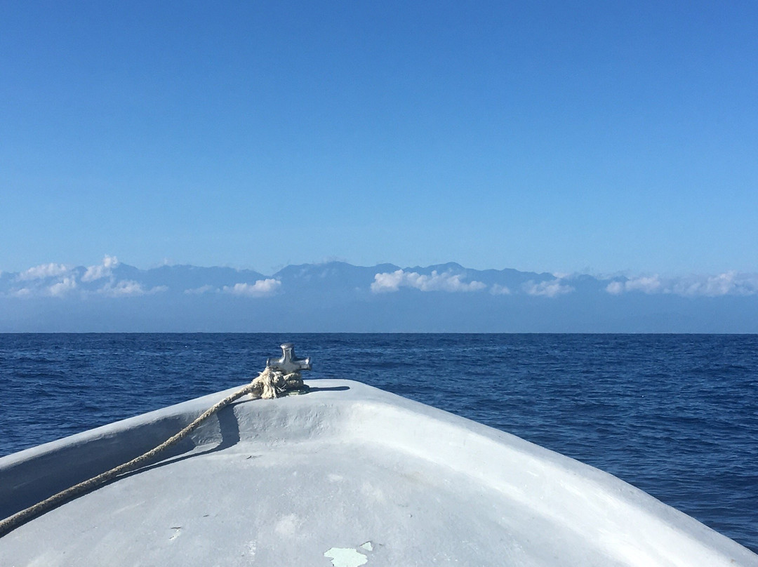 Niugini Dive Adventures-Madang必去景点