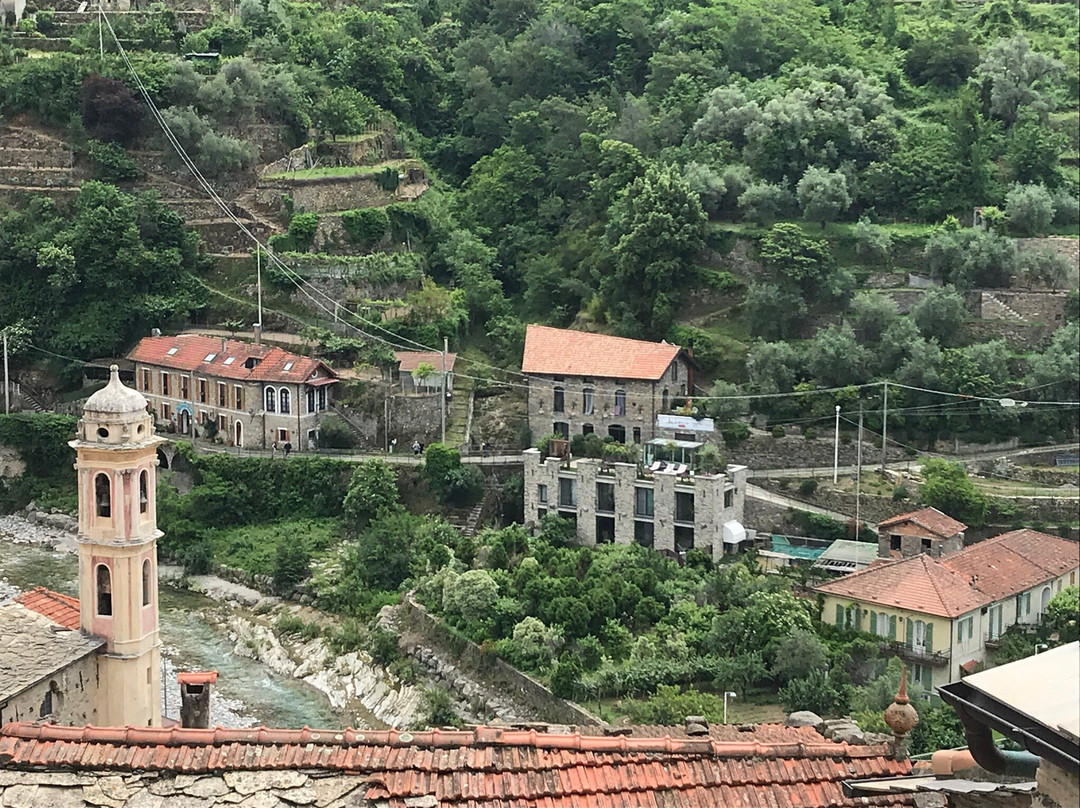 Badalucco旅游景点-Olio Roi