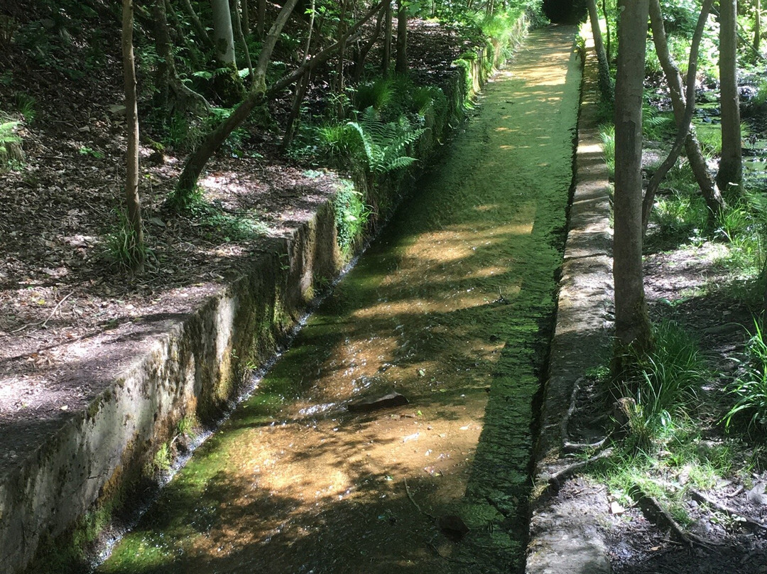 Forest of Dean Sculpture Trail景点图片